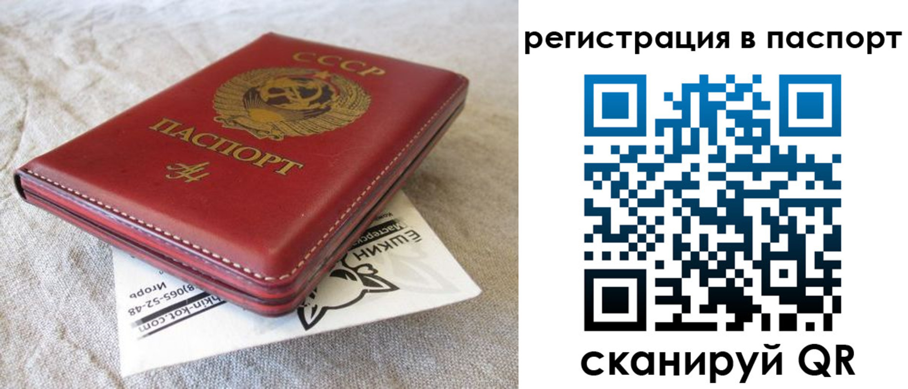где прописаться в Вилючинске